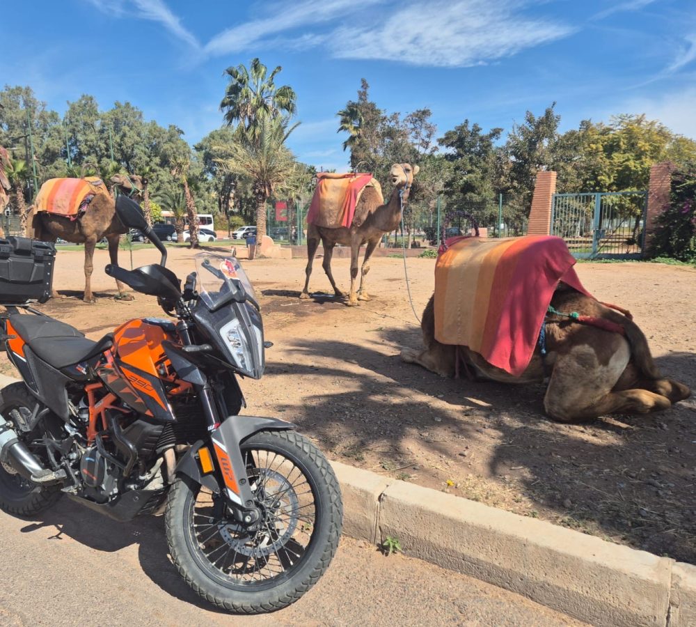 763c8a0c-1d60-4e0d-984d-be13d1298036