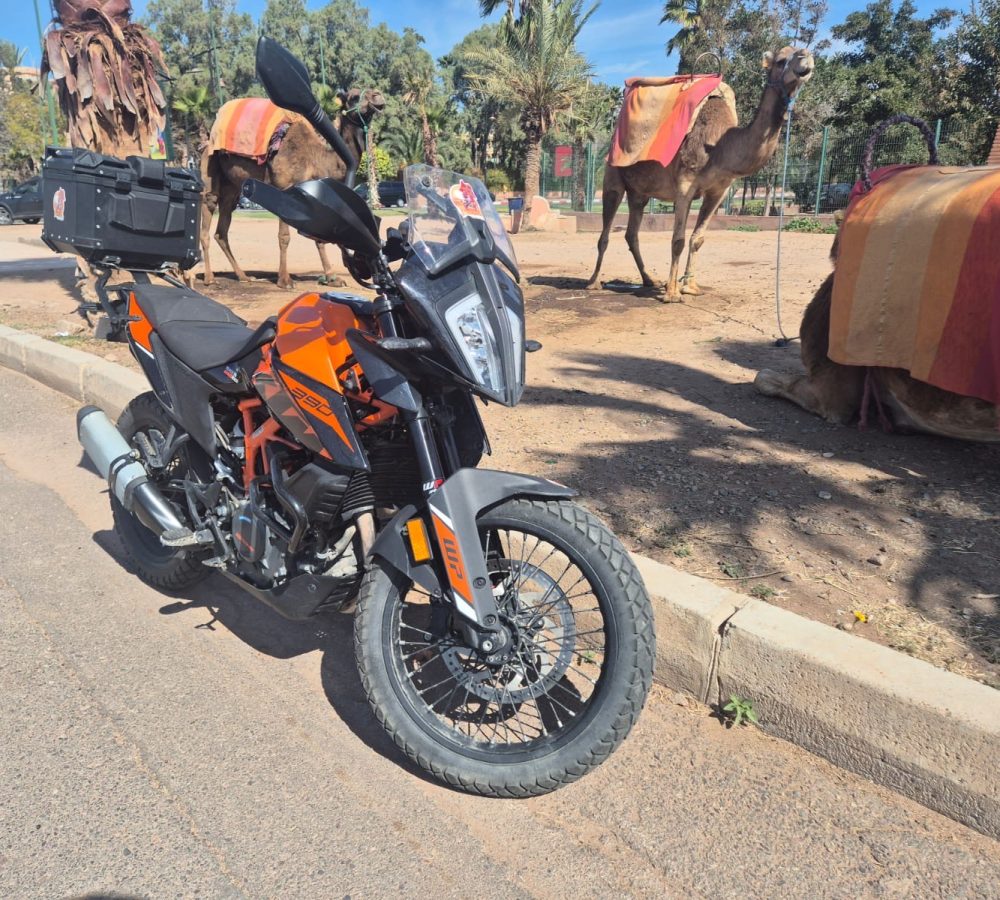 913d8779-1ad8-4422-a74b-059b210c1186