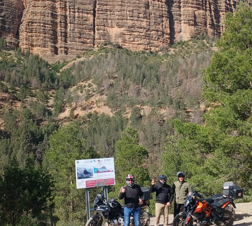 451bb0ff-ad5a-44d4-bd48-d143105aae08